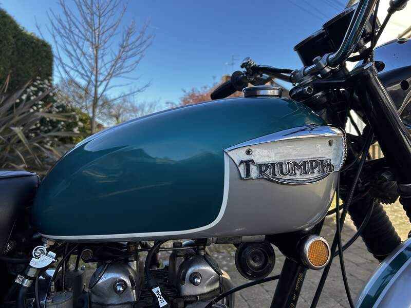 Triumph T100R DAYTONA