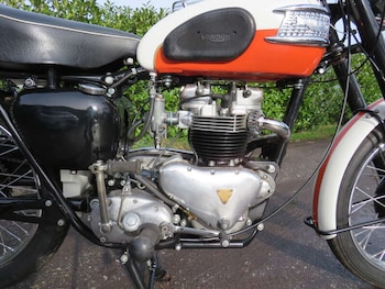 Used Triumph TR6 TROPHY undefined for sale - bike-77696877: Photo