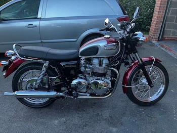 Used Triumph BONNEVILLE T100 2001 for sale - bike-78063255: Photo