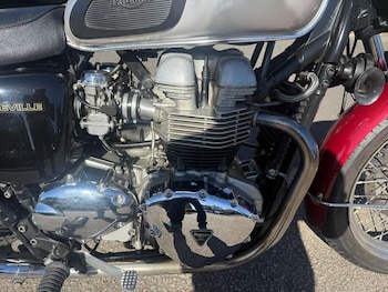 Used Triumph BONNEVILLE T100 2001 for sale - bike-78063255: Photo