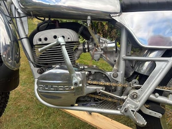 Used BULTACO ALPINA 2024 for sale - bike-79094169: Photo