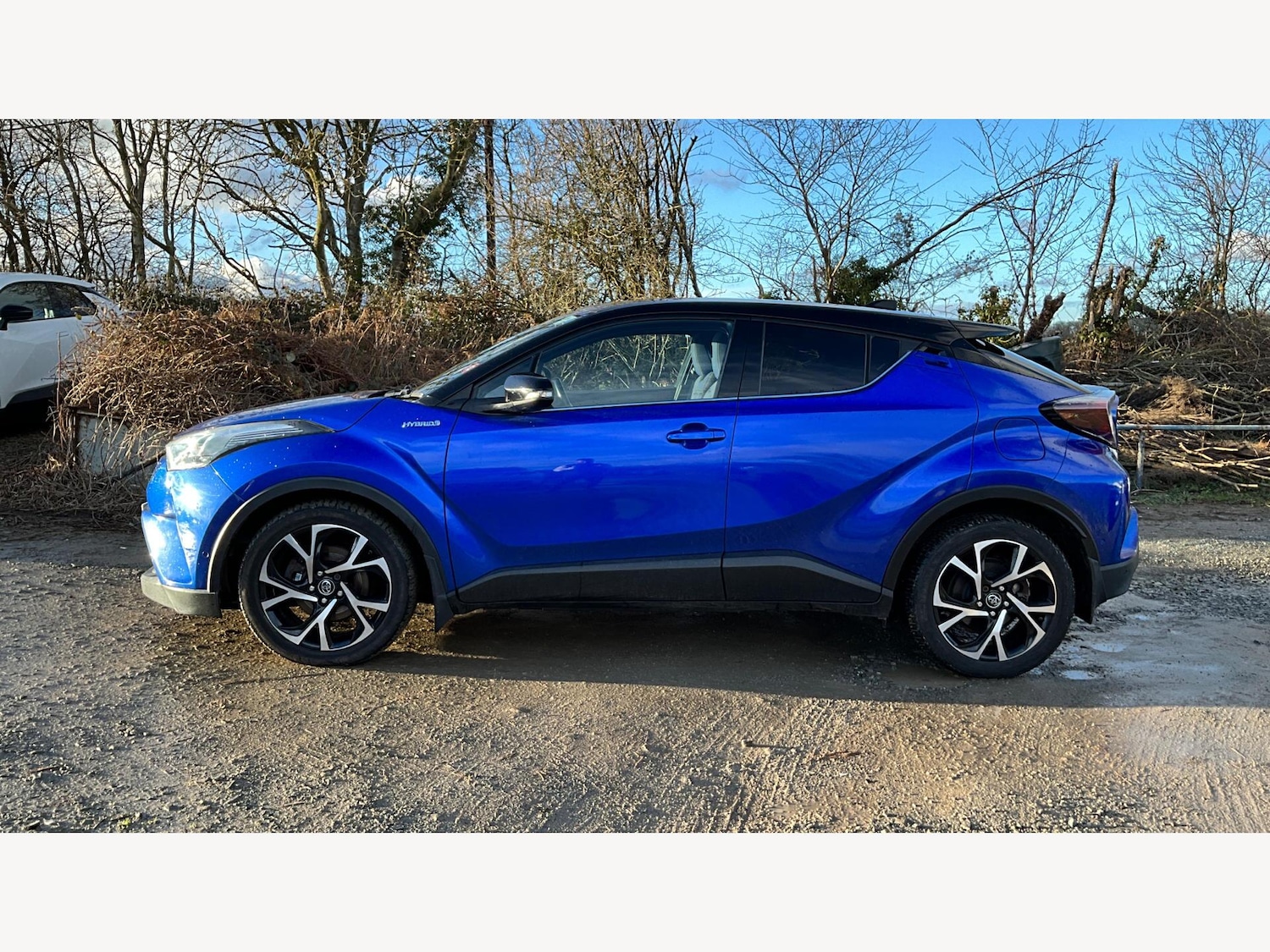 Used Toyota C-HR 2017 for sale - 77387245: Photo 19