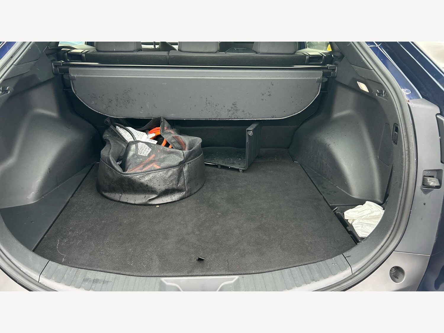 Used Toyota Other 2024 for sale - 76645376: Photo 16