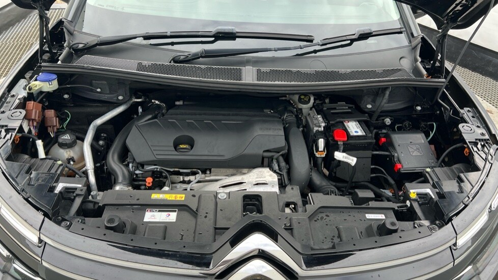 Used Citroen C5 Aircross 2019 for sale - 76302321: Photo 16