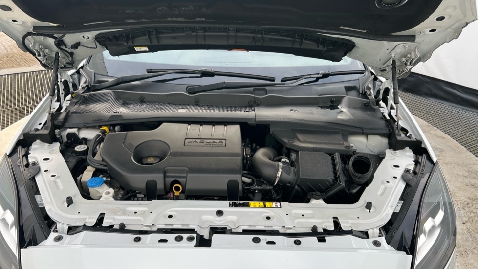 Used Jaguar E-Pace 2019 for sale - 76948327: Photo 16