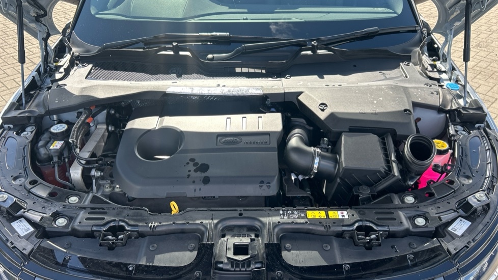 Used Land Rover Range Rover Evoque 2024 for sale - 76984030: Photo 30