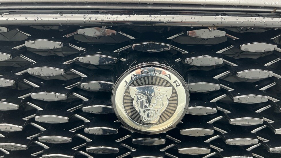 Vehicle 44