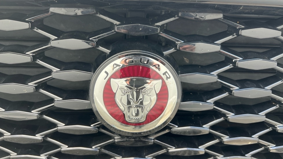 Vehicle 48
