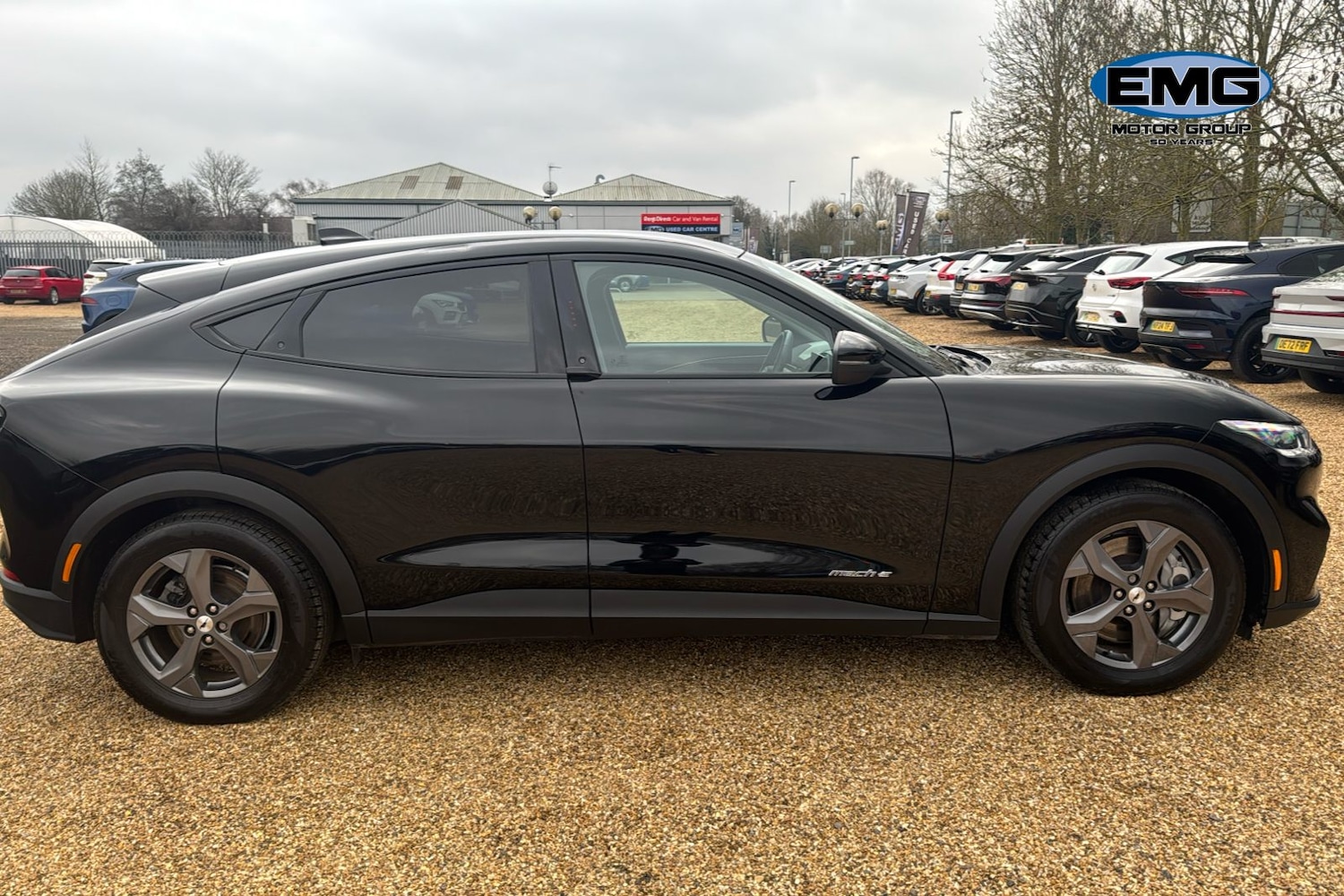 Used Ford Mustang Mach-E 2022 for sale - 77308643: Photo 4