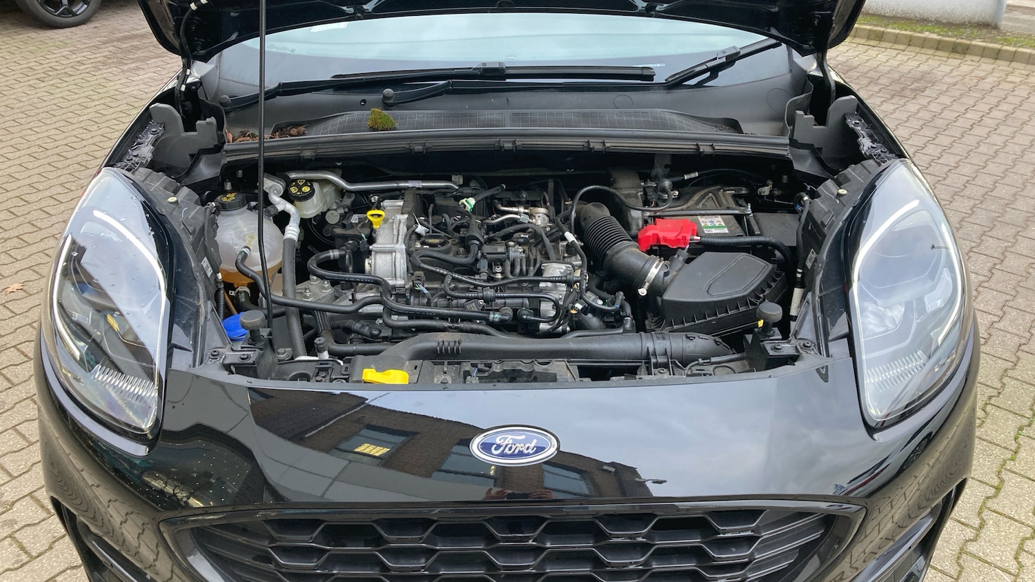 Used Ford Puma 2024 for sale - 77460173: Photo 8