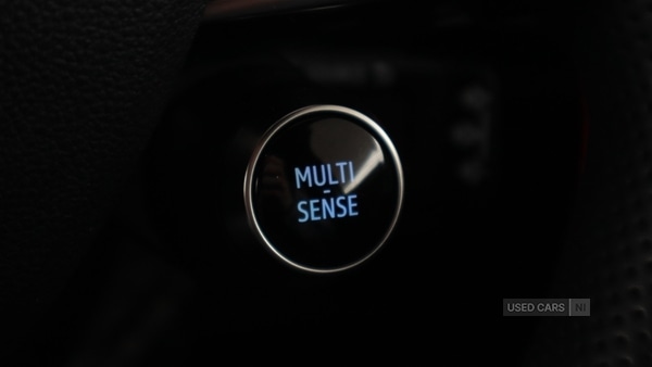 Used Renault Austral 2023 for sale - 77982804: Photo 37