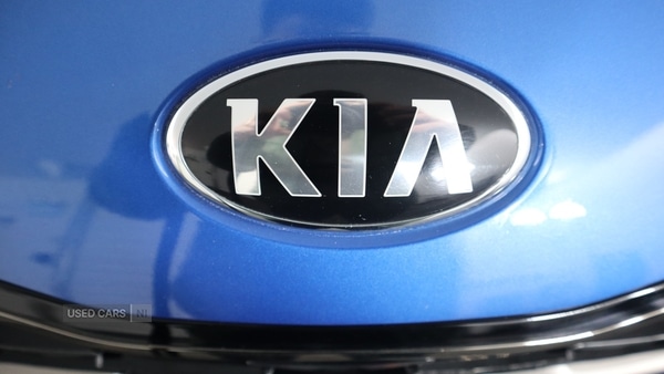 Used Kia Sportage 2019 for sale - 77426455: Photo 9