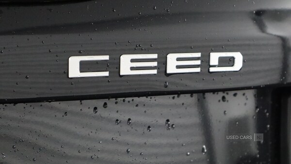 Used Kia Ceed 2025 for sale - 77098756: Photo 14