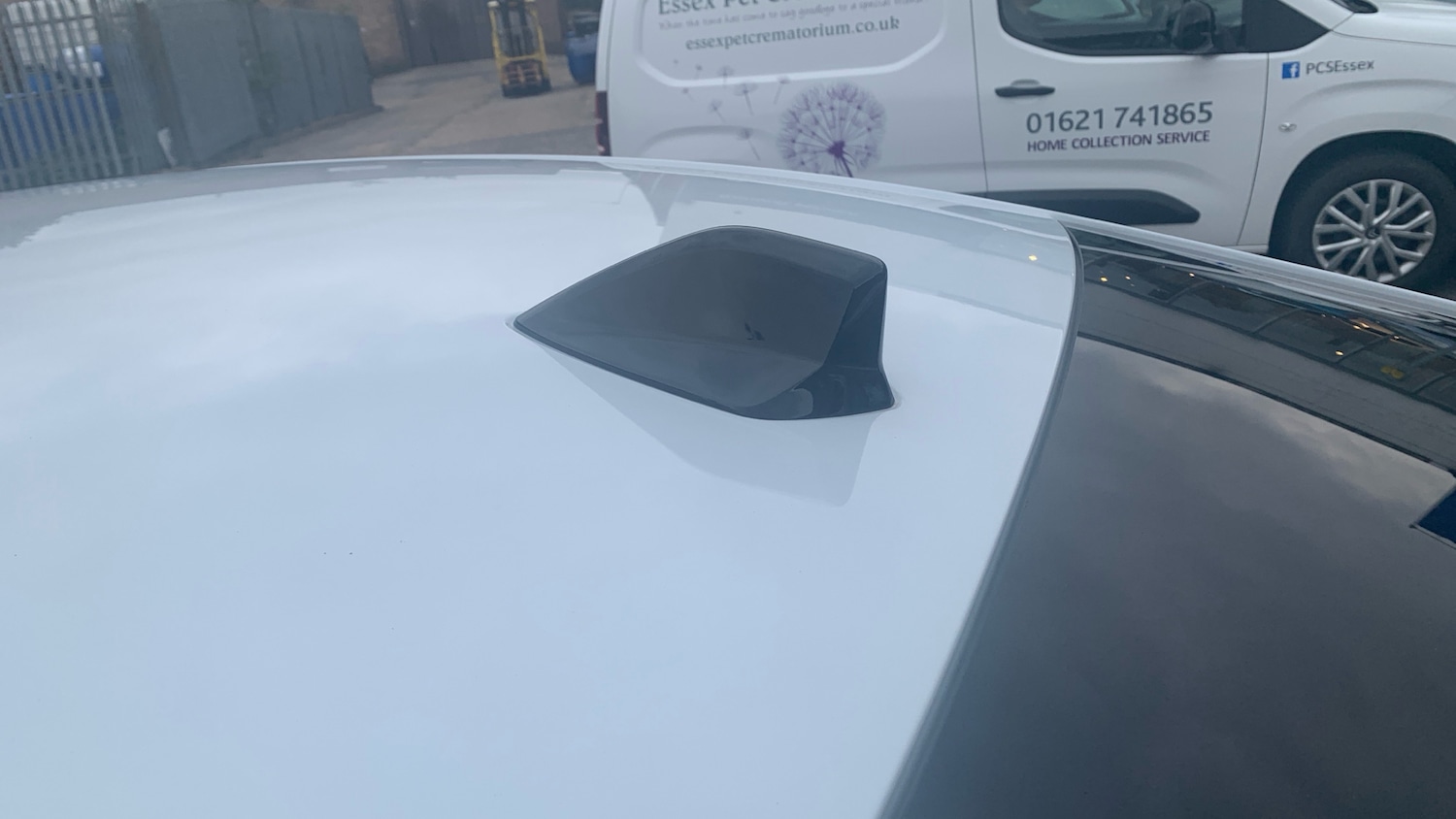 Used Citroen C4 2024 for sale - 76574342: Photo 47