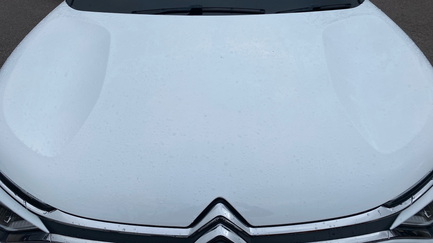 Used Citroen C4 2023 for sale - 77626934: Photo 18