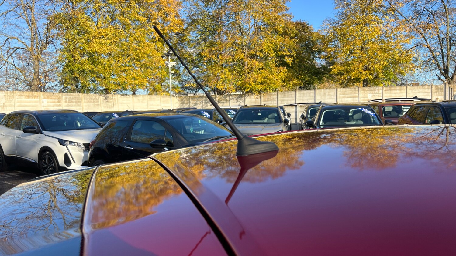 Used Peugeot 208 2023 for sale - 76754156: Photo 47