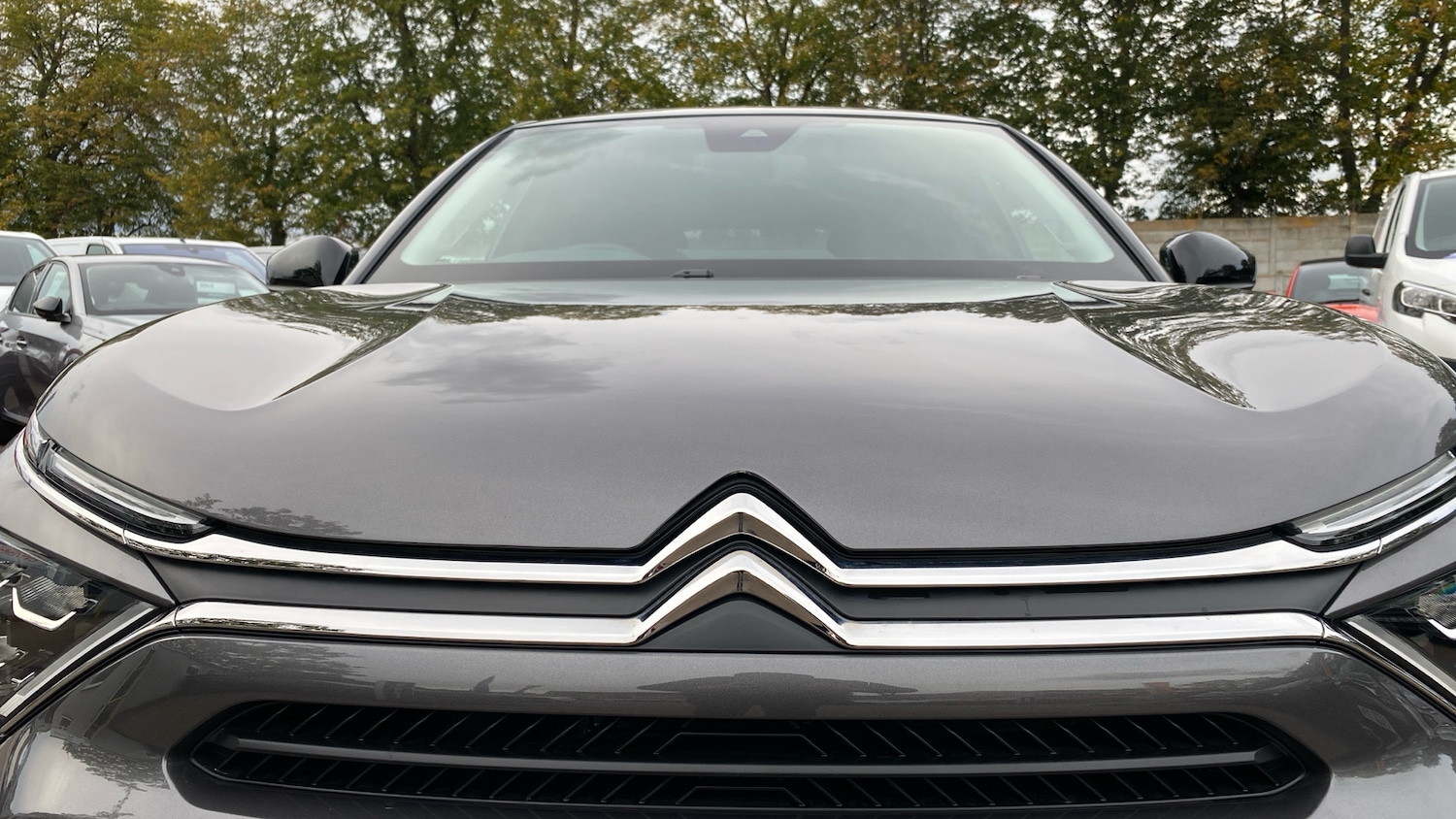 Used Citroen C4 2024 for sale - 76338277: Photo 18