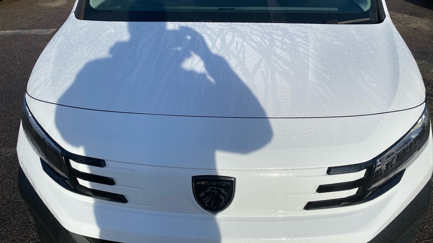 Used Peugeot Partner 2025 for sale - 77346198: Photo 19