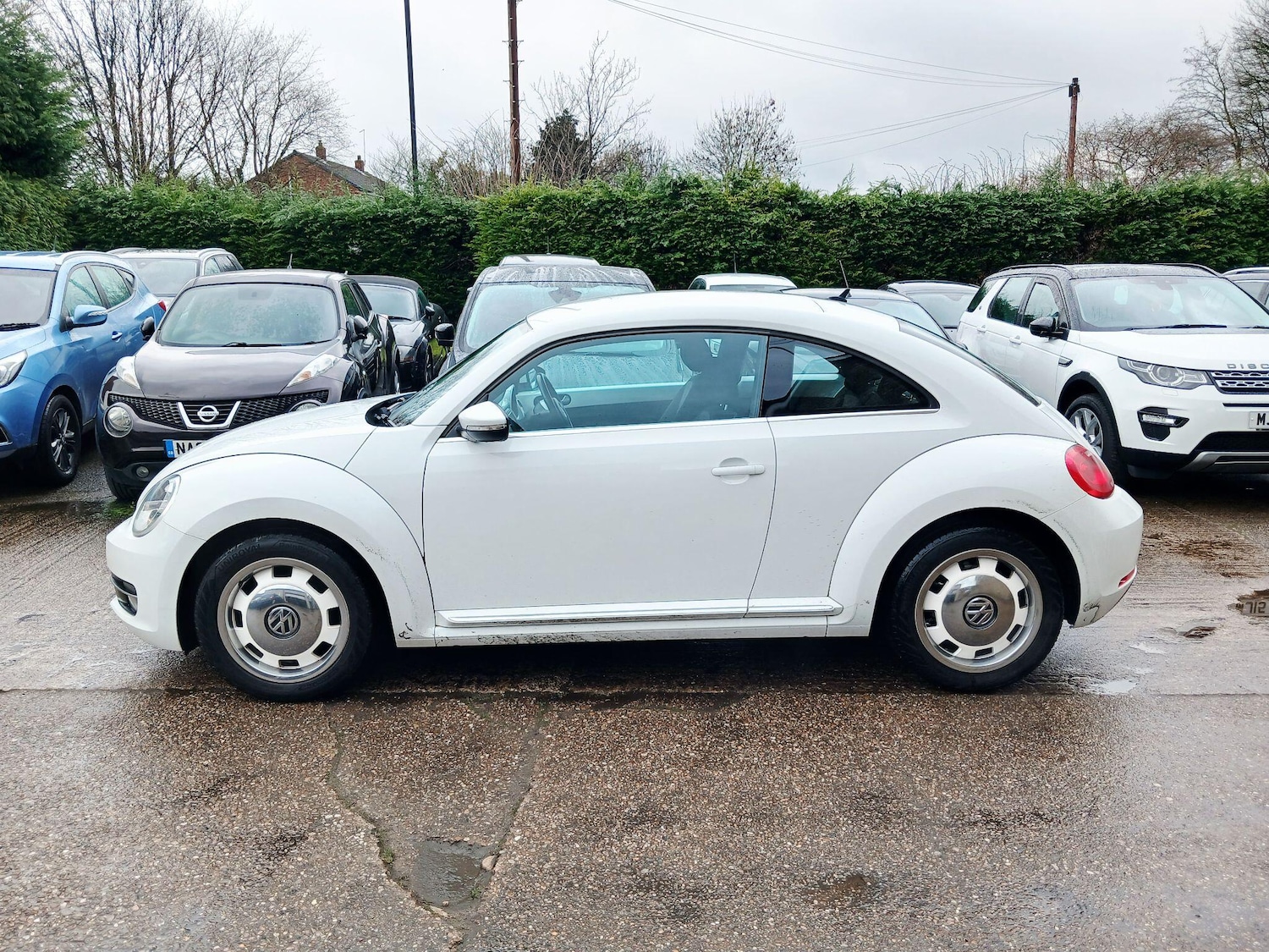 Used Volkswagen Beetle 2015 for sale - 77611705: Photo 1