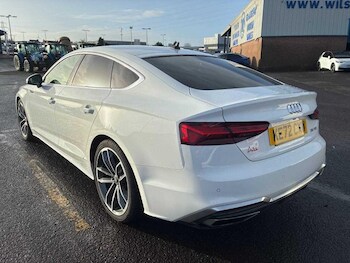 Used Audi A5 2023 for sale - 77211081: Photo