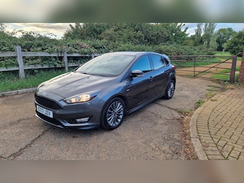 Used Ford Focus 2017 for sale - 75955007: Photo