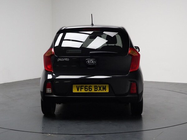 Used Kia Picanto 2017 for sale - 76333976: Photo 11
