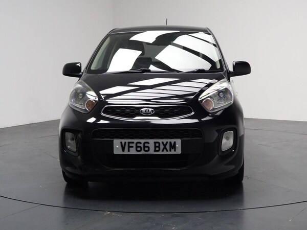 Used Kia Picanto 2017 for sale - 76333976: Photo 5
