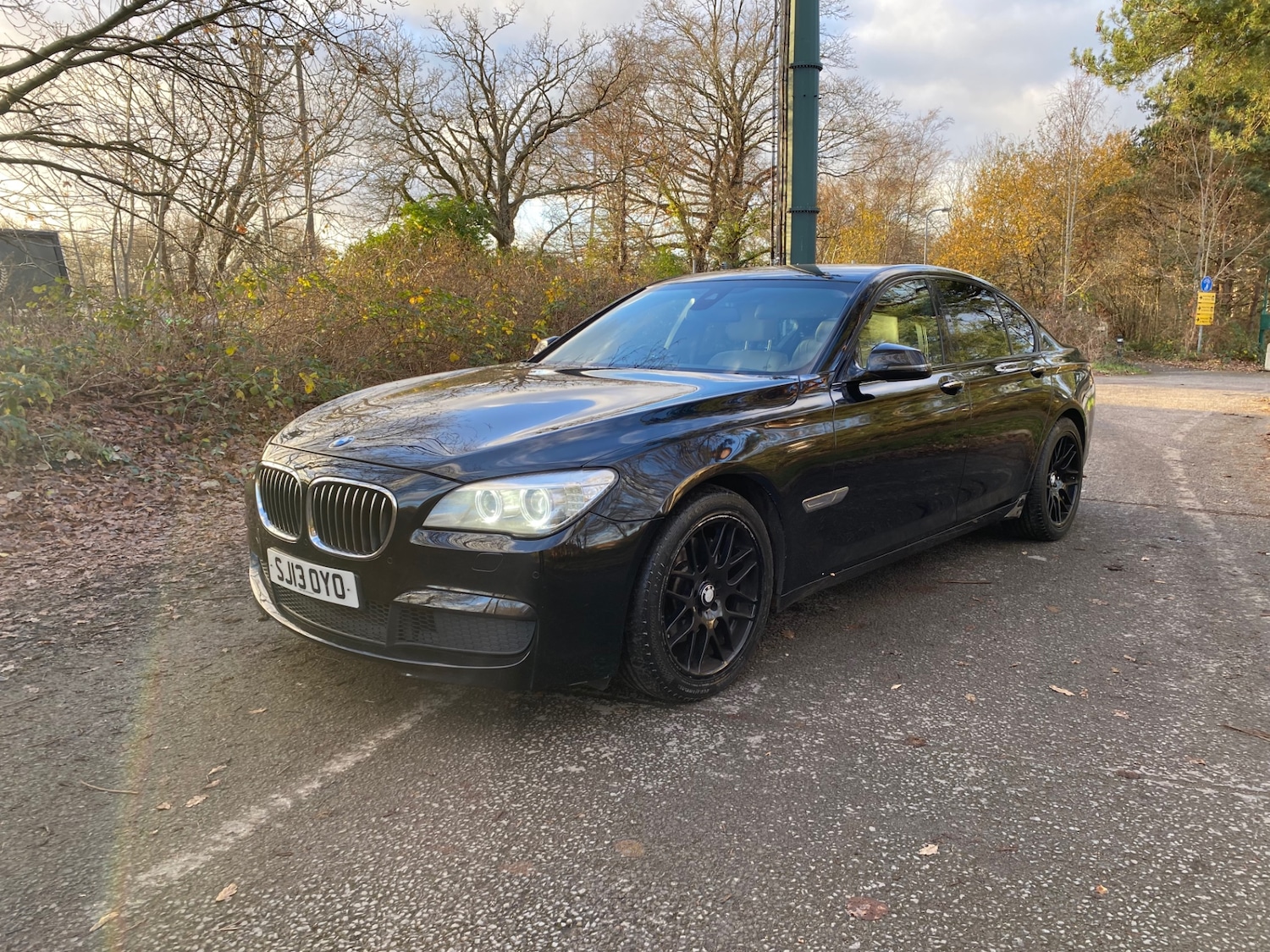 Used BMW 7 Series 2013 for sale - 77619576: Photo 3