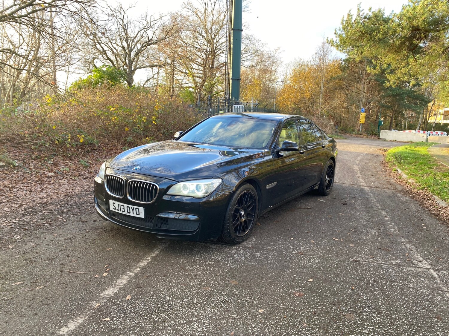 Used BMW 7 Series 2013 for sale - 77619576: Photo 5