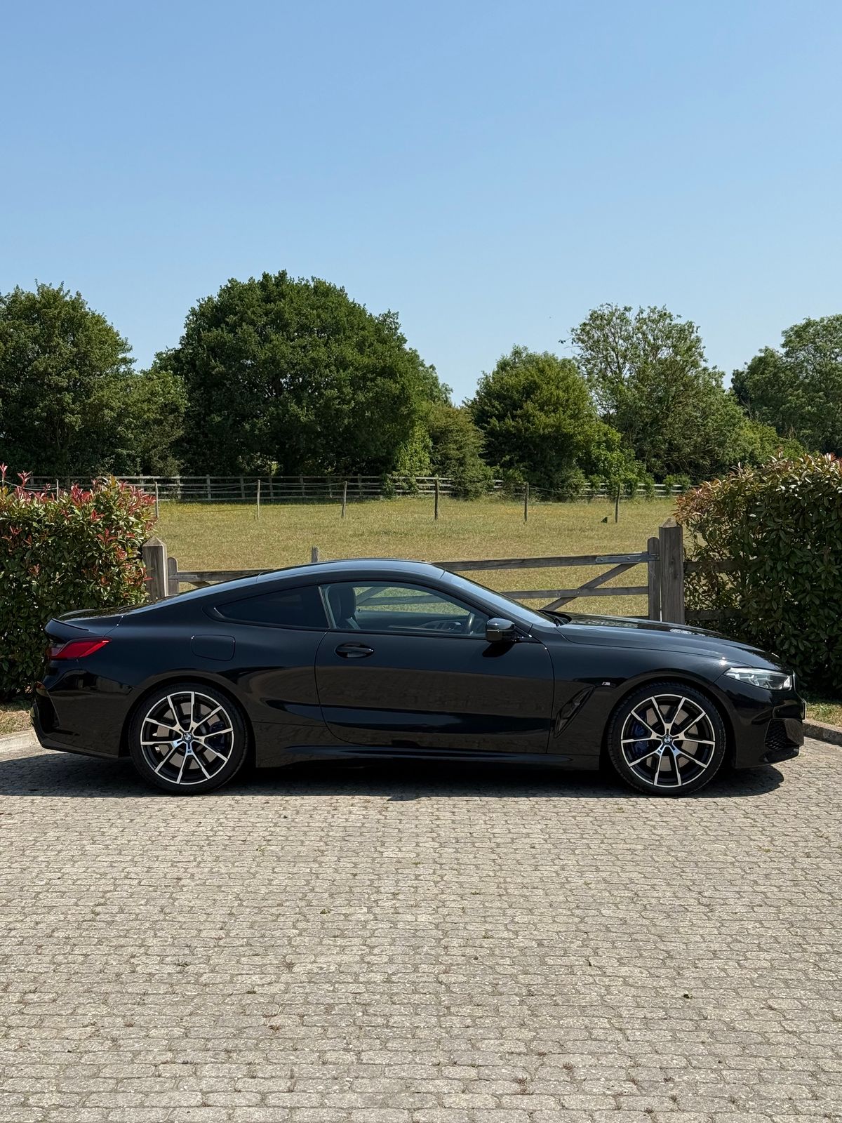Used BMW 8 Series 2019 for sale - 77614609: Photo 8