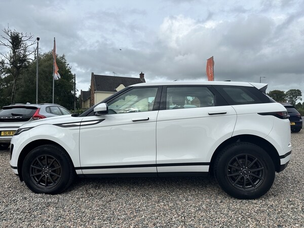 Used Land Rover Range Rover Evoque 2019 for sale - 76201975: Photo 5