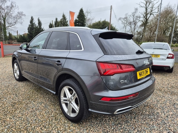 Used Audi Q5 2019 for sale - 77754804: Photo 11