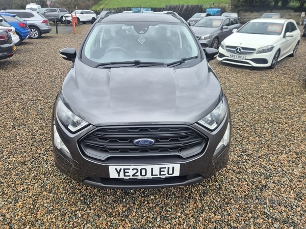 Used Ford Ecosport 2020 for sale - 77926482: Photo 6