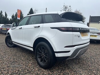 Used Land Rover Range Rover Evoque 2019 for sale - 76562964: Photo
