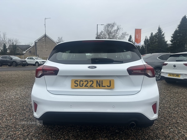 Used Ford Focus 2022 for sale - 77204335: Photo 7