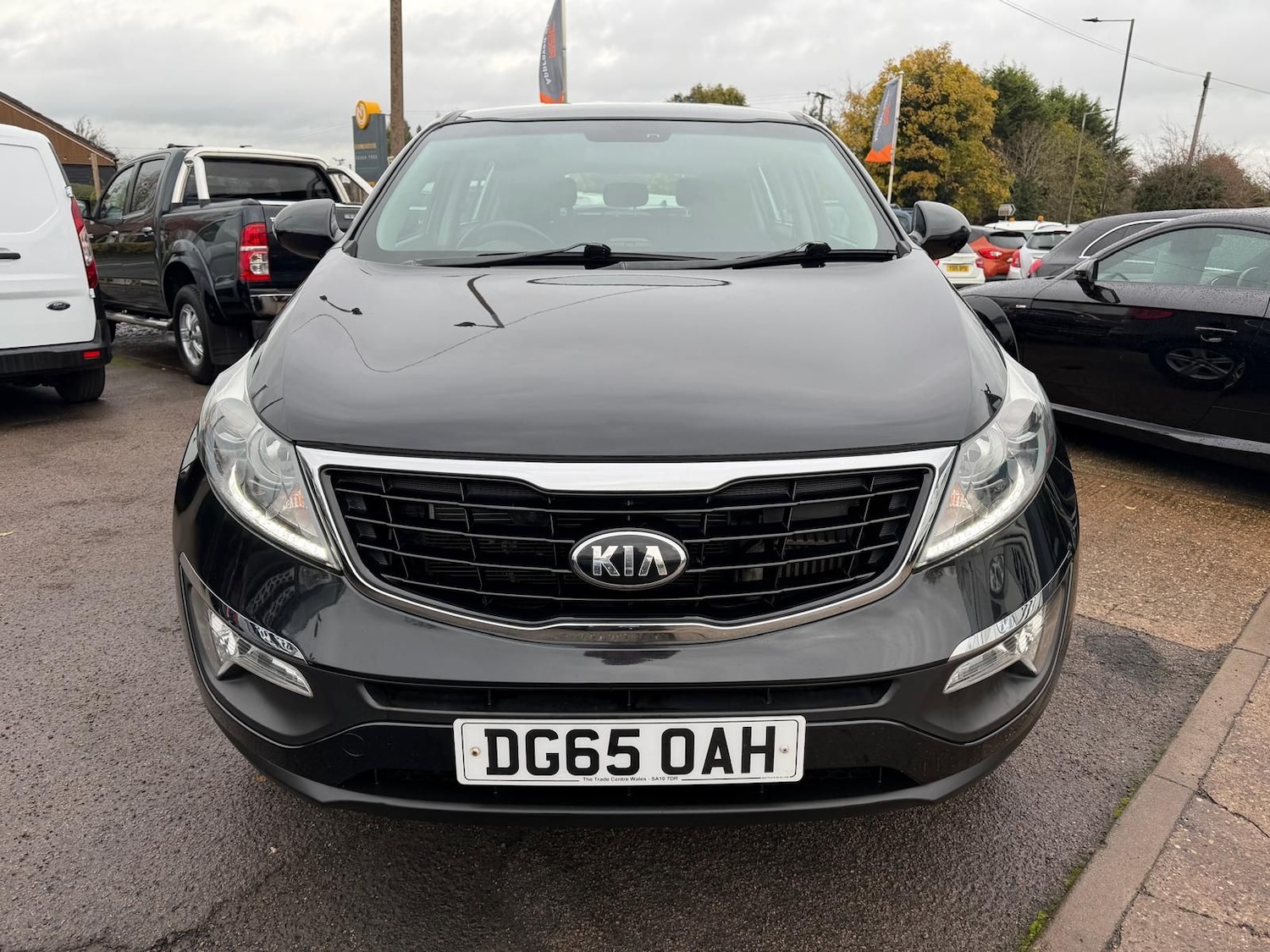 Used Kia Sportage 2015 for sale - 76563598: Photo 5