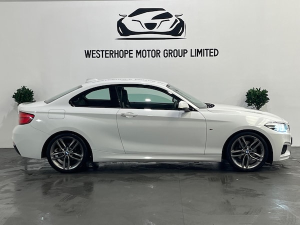 Used BMW 2 Series 2017 for sale - 74758854: Photo 19