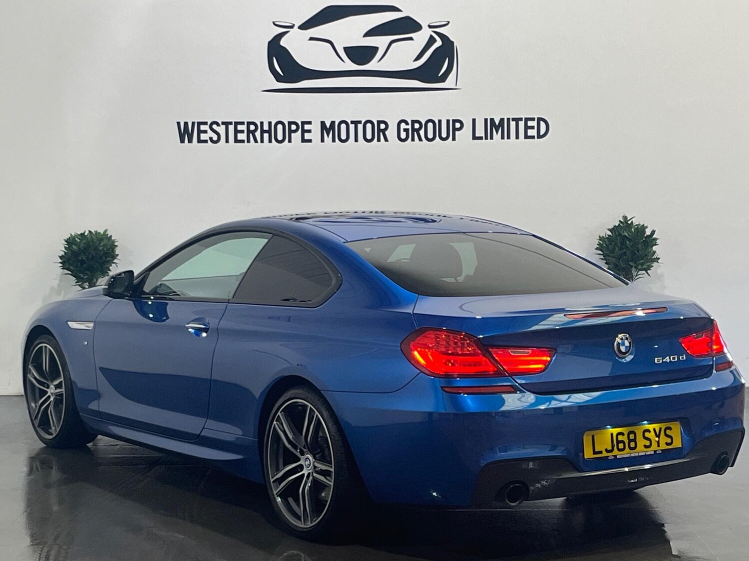 Used BMW 6 Series 2019 for sale - 78100832: Photo 10