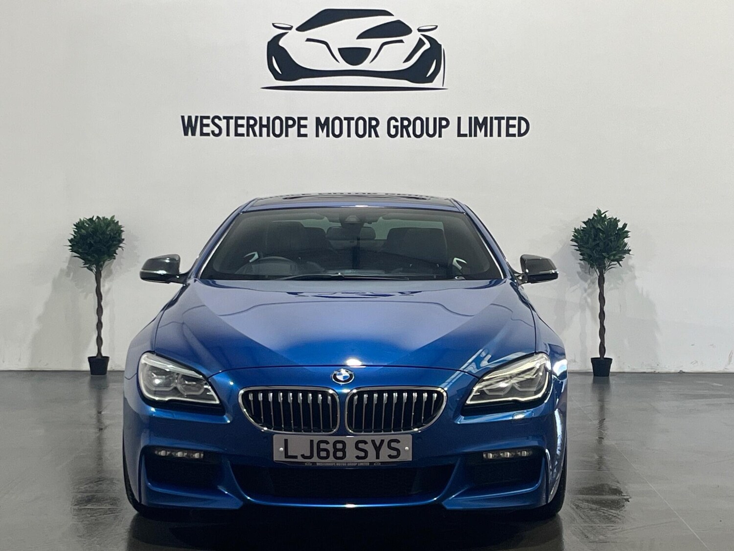 Used BMW 6 Series 2019 for sale - 78100832: Photo 11