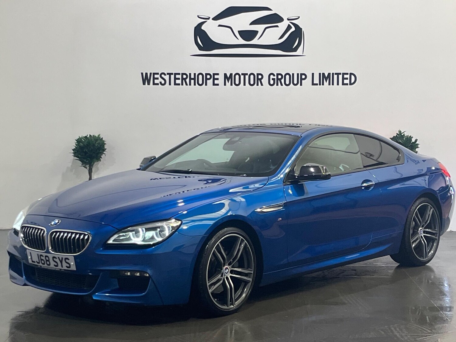 Used BMW 6 Series 2019 for sale - 78100832: Photo 12