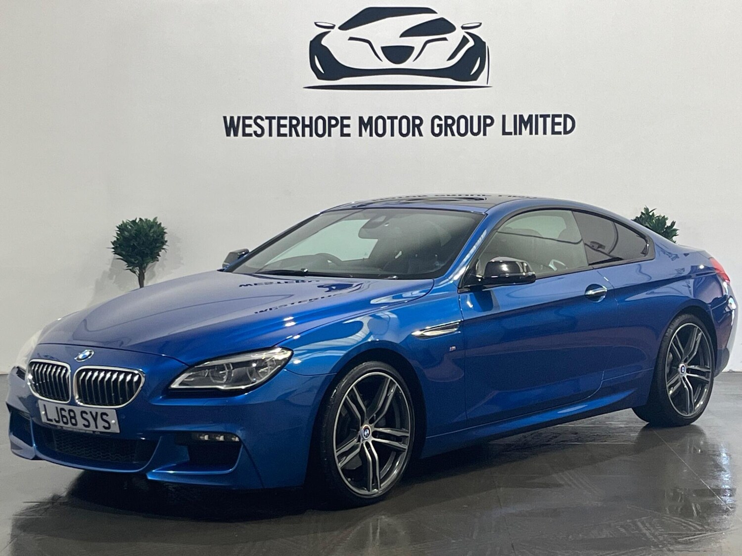 Used BMW 6 Series 2019 for sale - 78100832: Photo 13