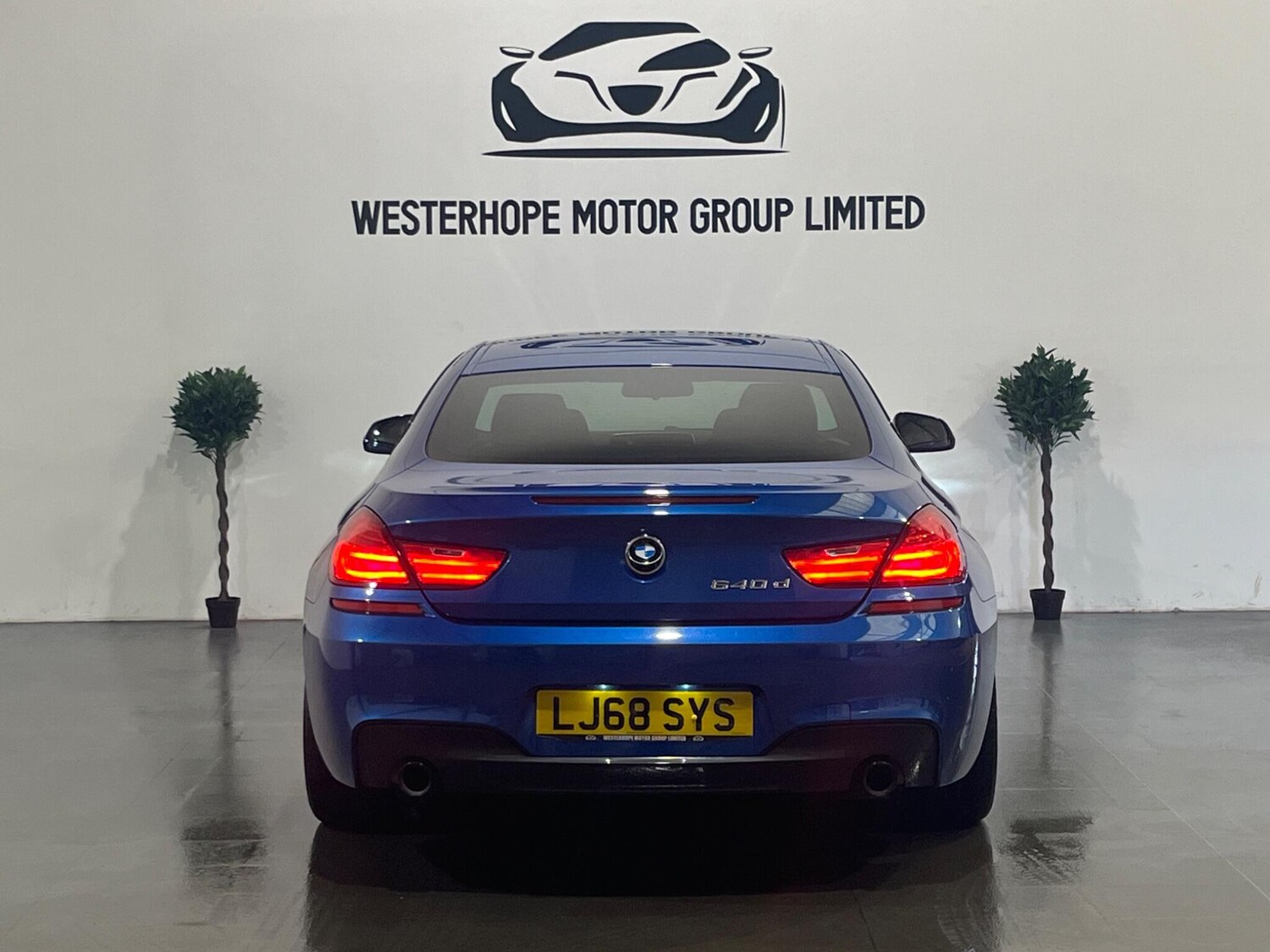 Used BMW 6 Series 2019 for sale - 78100832: Photo 17
