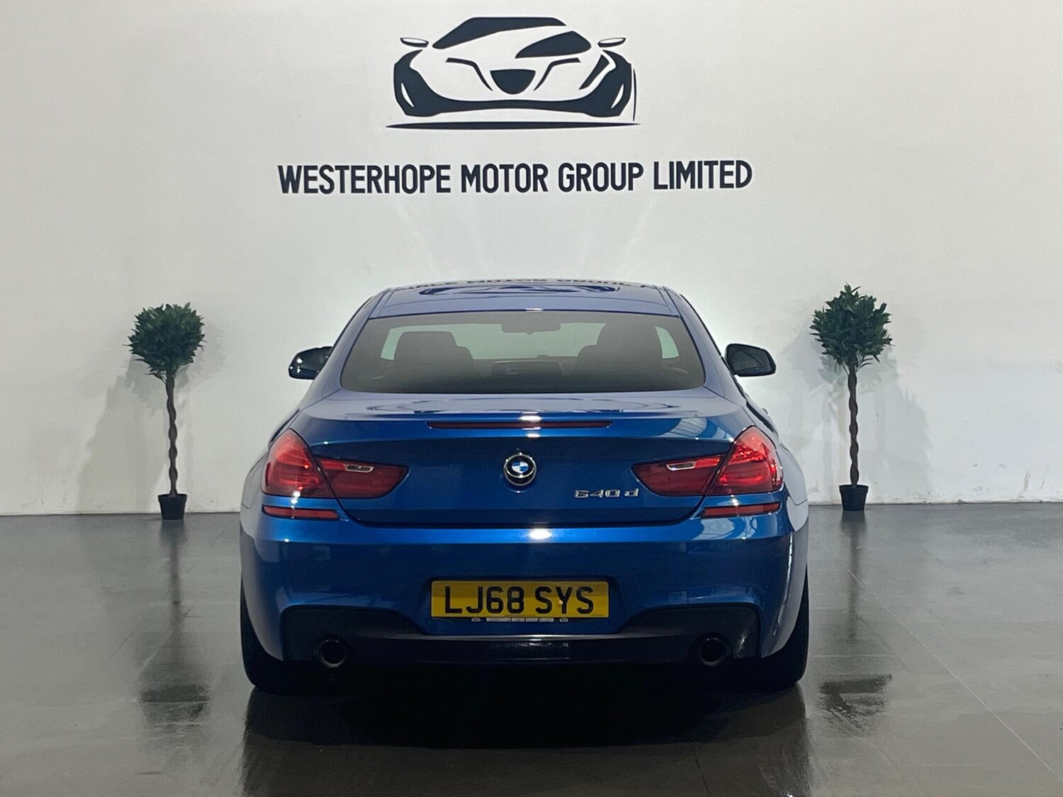 Used BMW 6 Series 2019 for sale - 78100832: Photo 18