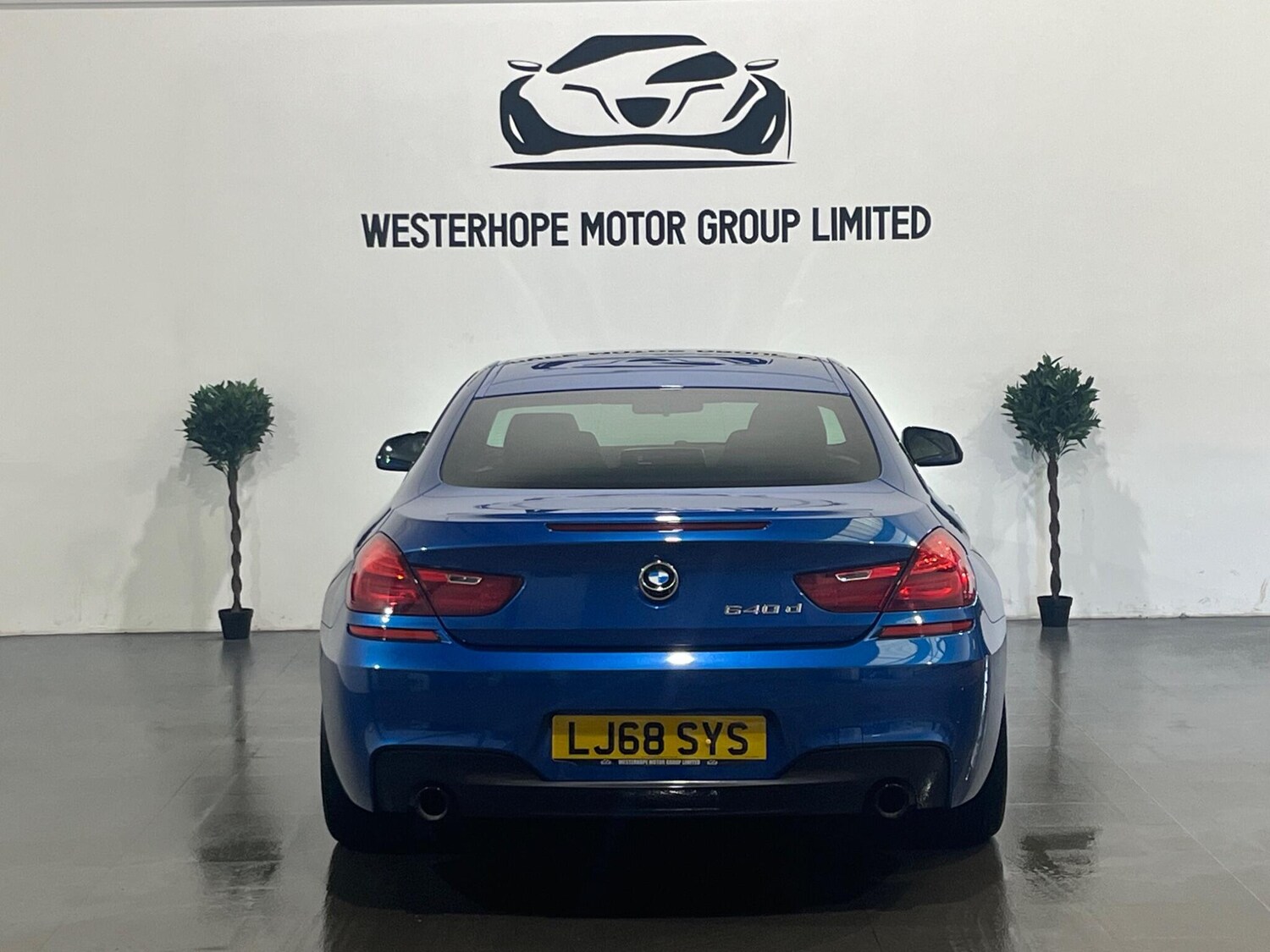 Used BMW 6 Series 2019 for sale - 78100832: Photo 19