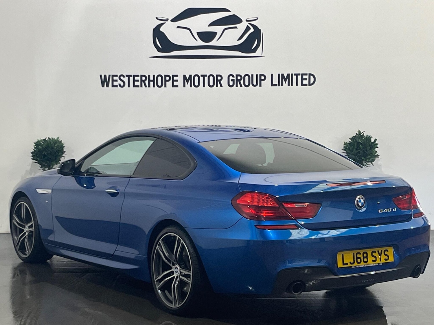 Used BMW 6 Series 2019 for sale - 78100832: Photo 2