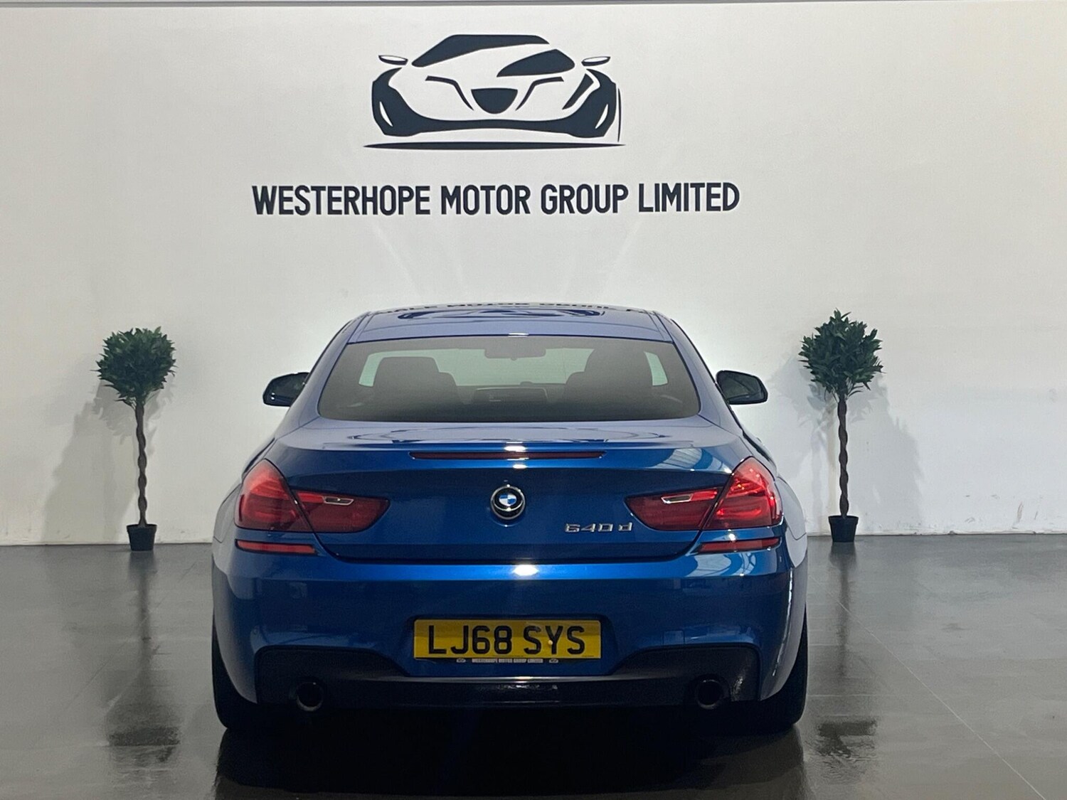 Used BMW 6 Series 2019 for sale - 78100832: Photo 20