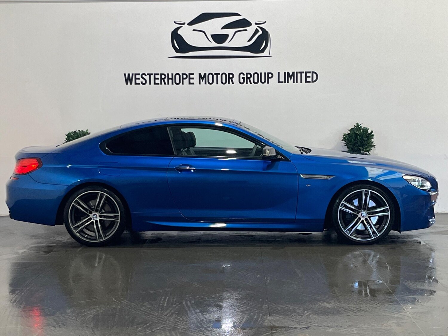 Used BMW 6 Series 2019 for sale - 78100832: Photo 21