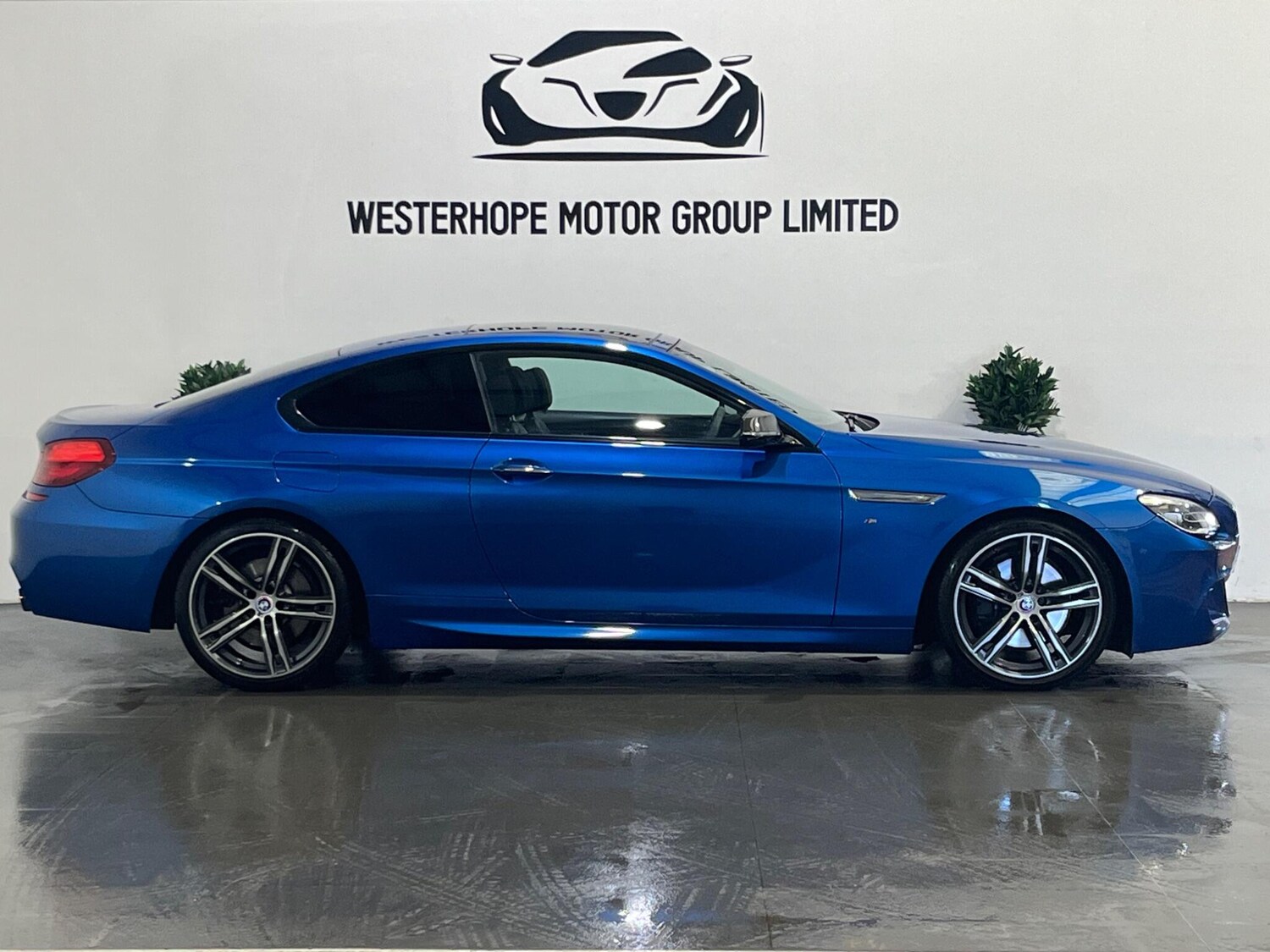 Used BMW 6 Series 2019 for sale - 78100832: Photo 22