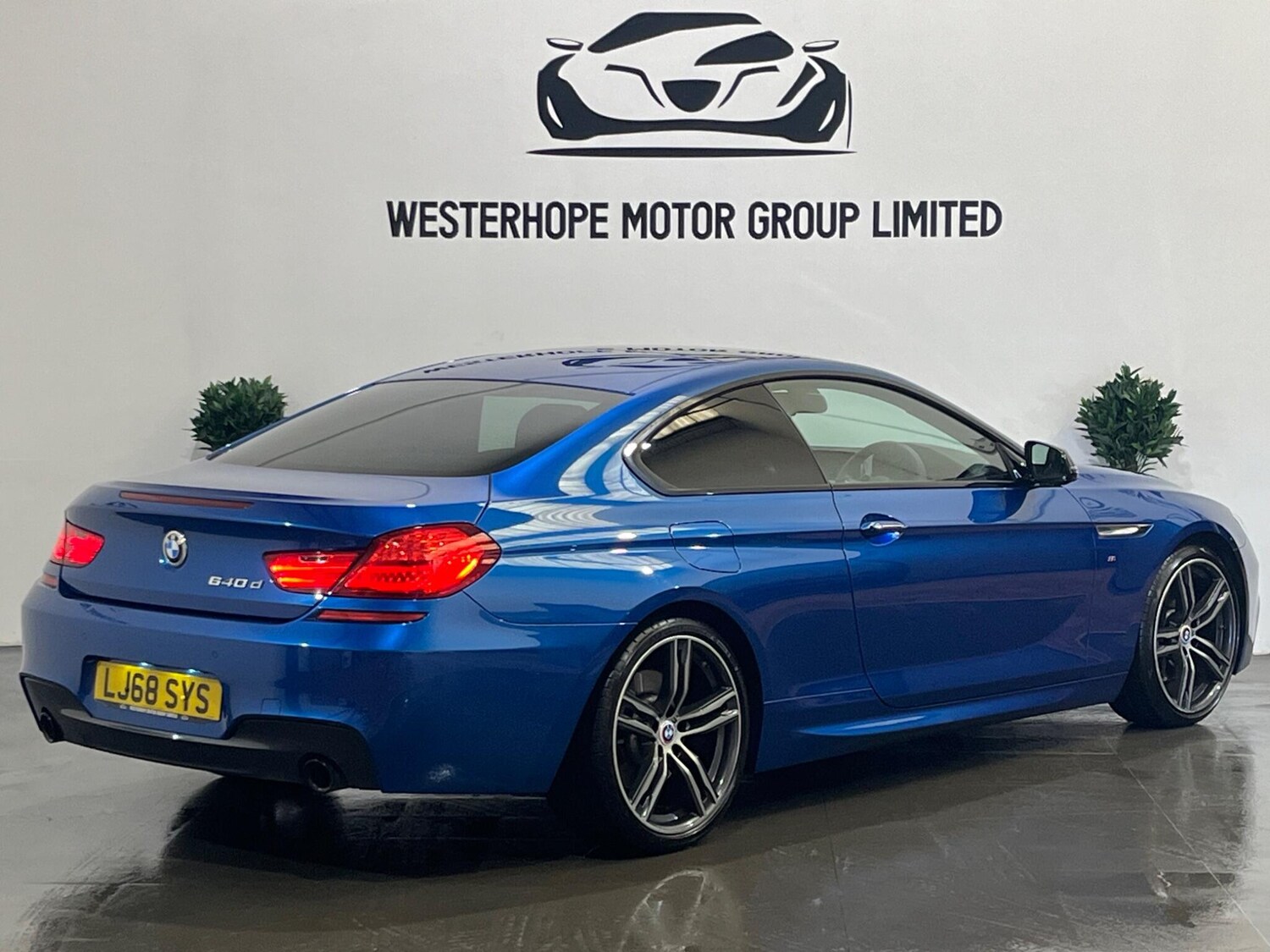 Used BMW 6 Series 2019 for sale - 78100832: Photo 23