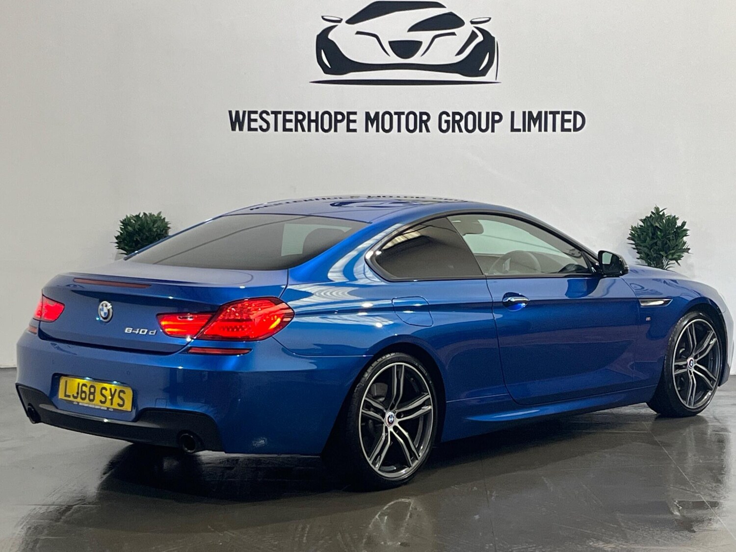 Used BMW 6 Series 2019 for sale - 78100832: Photo 24